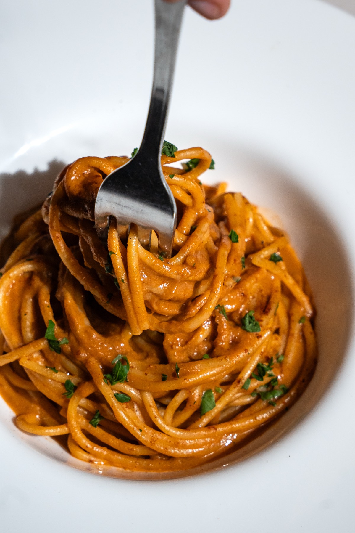 Spaghetti all'assoluto di gambero